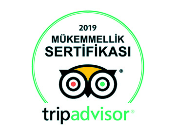 tripadvisor